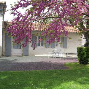 Chambre d'hôtes Cottage
