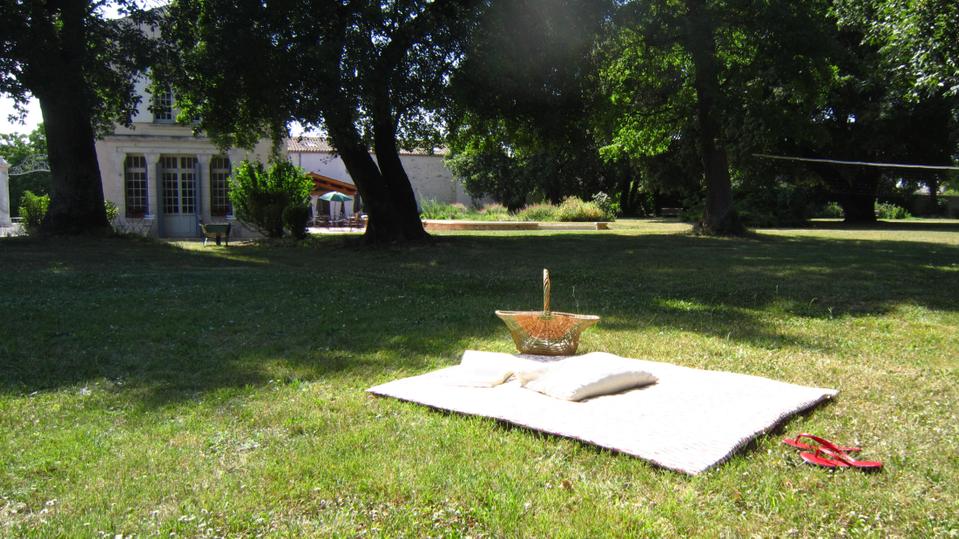 Bronzage et lecture